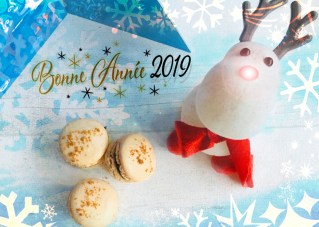Macarons-de-Noël